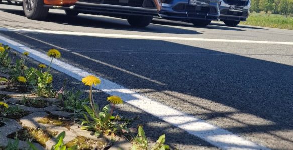Sommertreffen 07.08.-09.08.2026